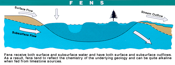 Fen Diagram